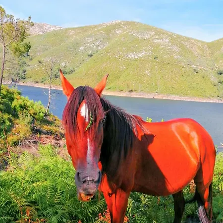 بيت للعطل Comfortable House In Lindoso, Stunning Mountain View موليدو