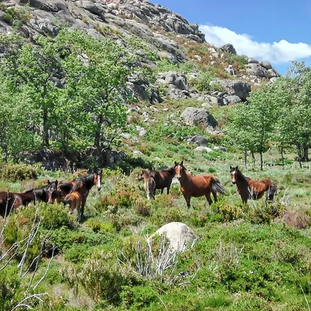 בית נופש Comfortable House In Lindoso, Stunning Mountain View *
