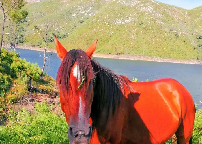 Ferienhaus Comfortable House In Lindoso, Stunning Mountain View Moledo (Viana do Castelo)