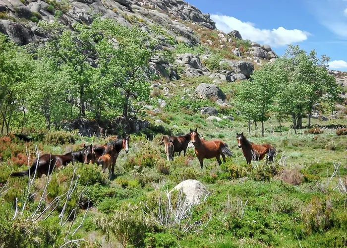 펜션 Comfortable House In Lindoso, Stunning Mountain View *